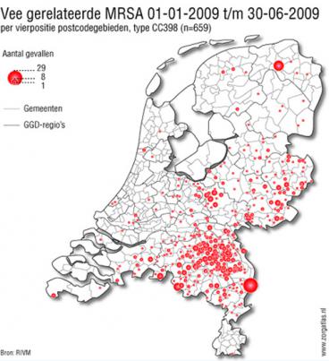 MRSA bacterie uitbraken in gebieden met veel varkens in Nederland